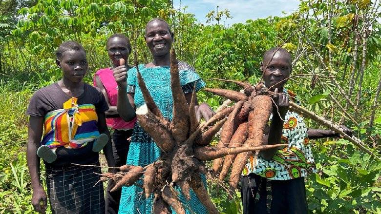 Natural Sesame Seeds Natural Sesame Seeds